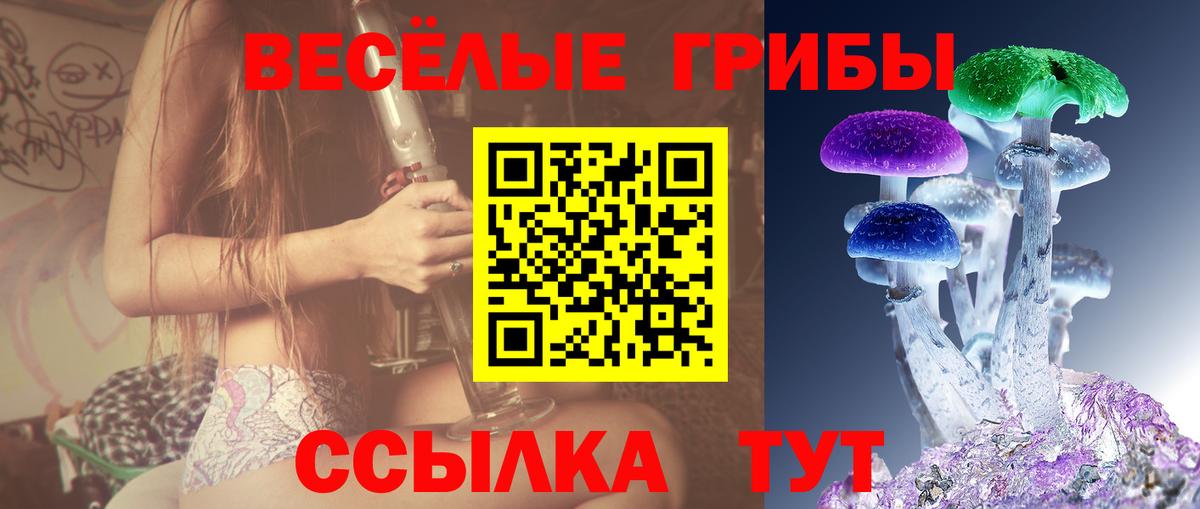 Азнакаево  Галлюциногенные грибы Psilocybine cubensis  Вход с VPN 